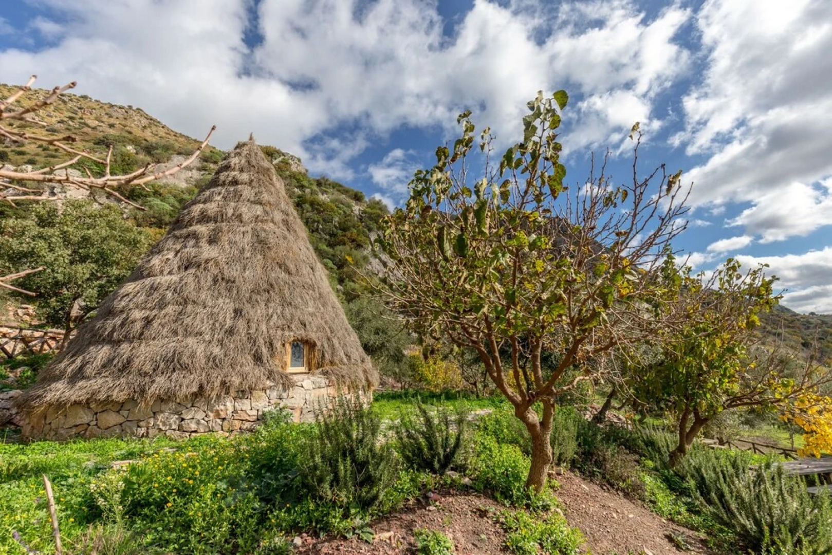 Rocca di Mezzogiorno - Fiordaliso