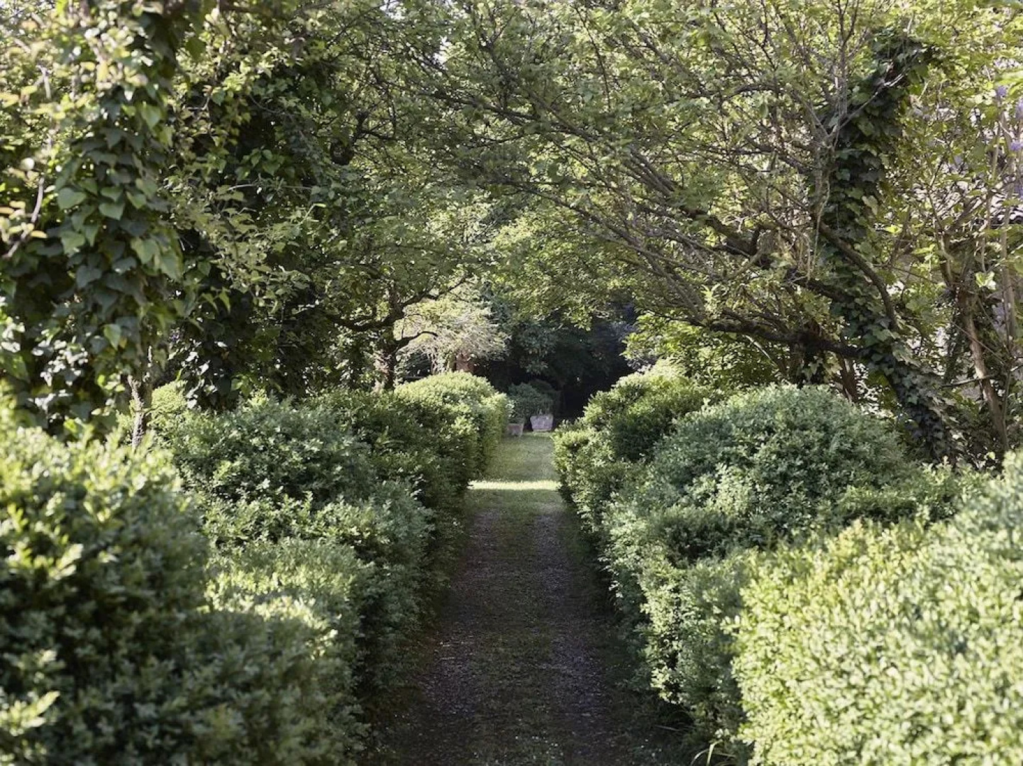 IL Borgo del Balsamico