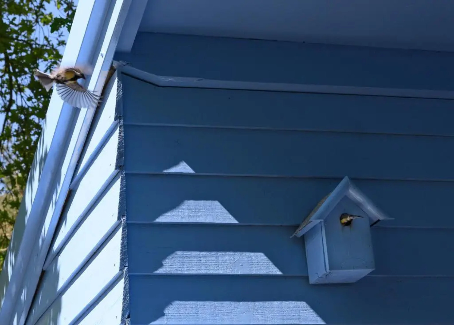 ZEN-bungalow NO 2 met sauna en hottub