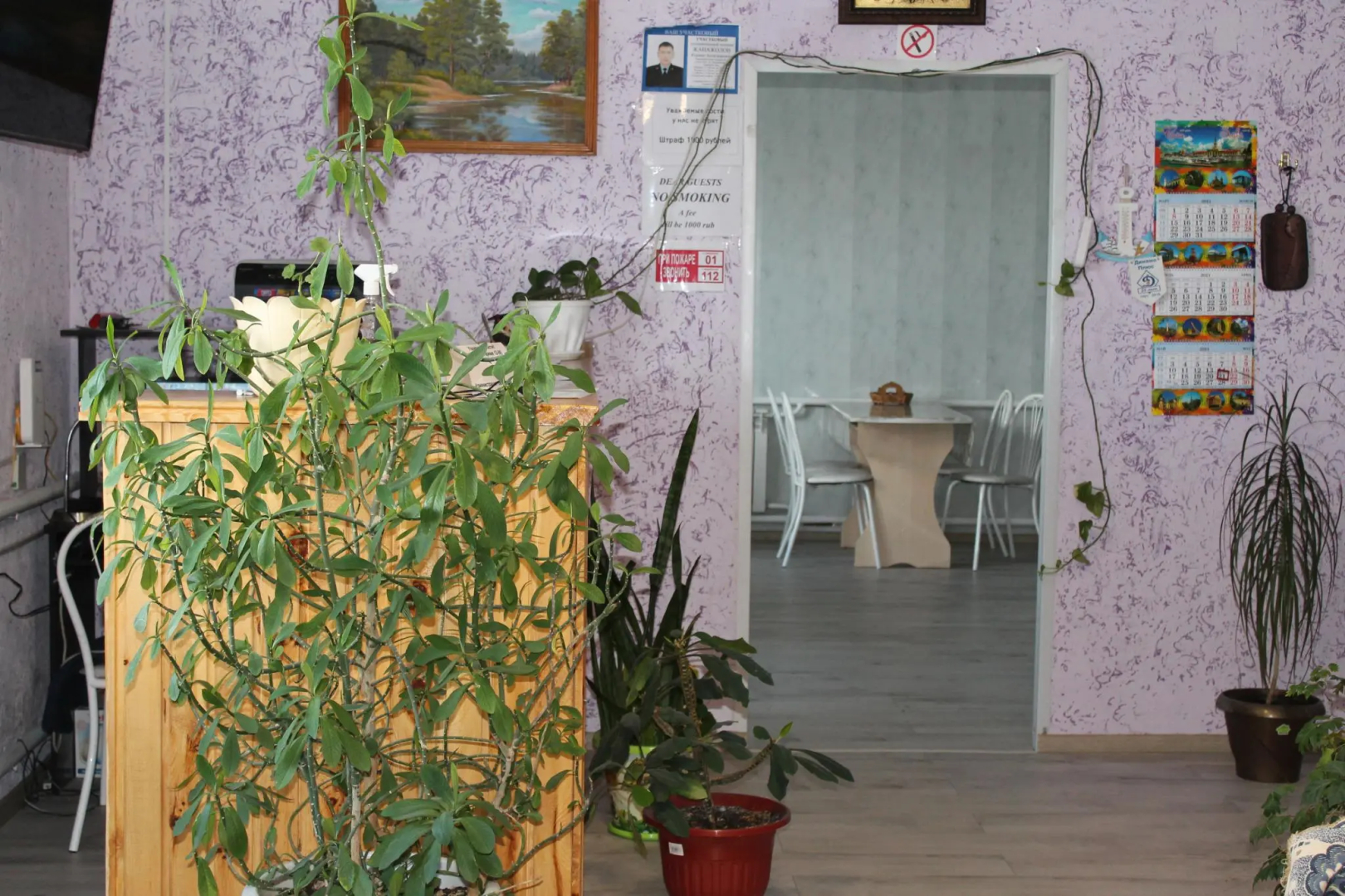 Роза ветров