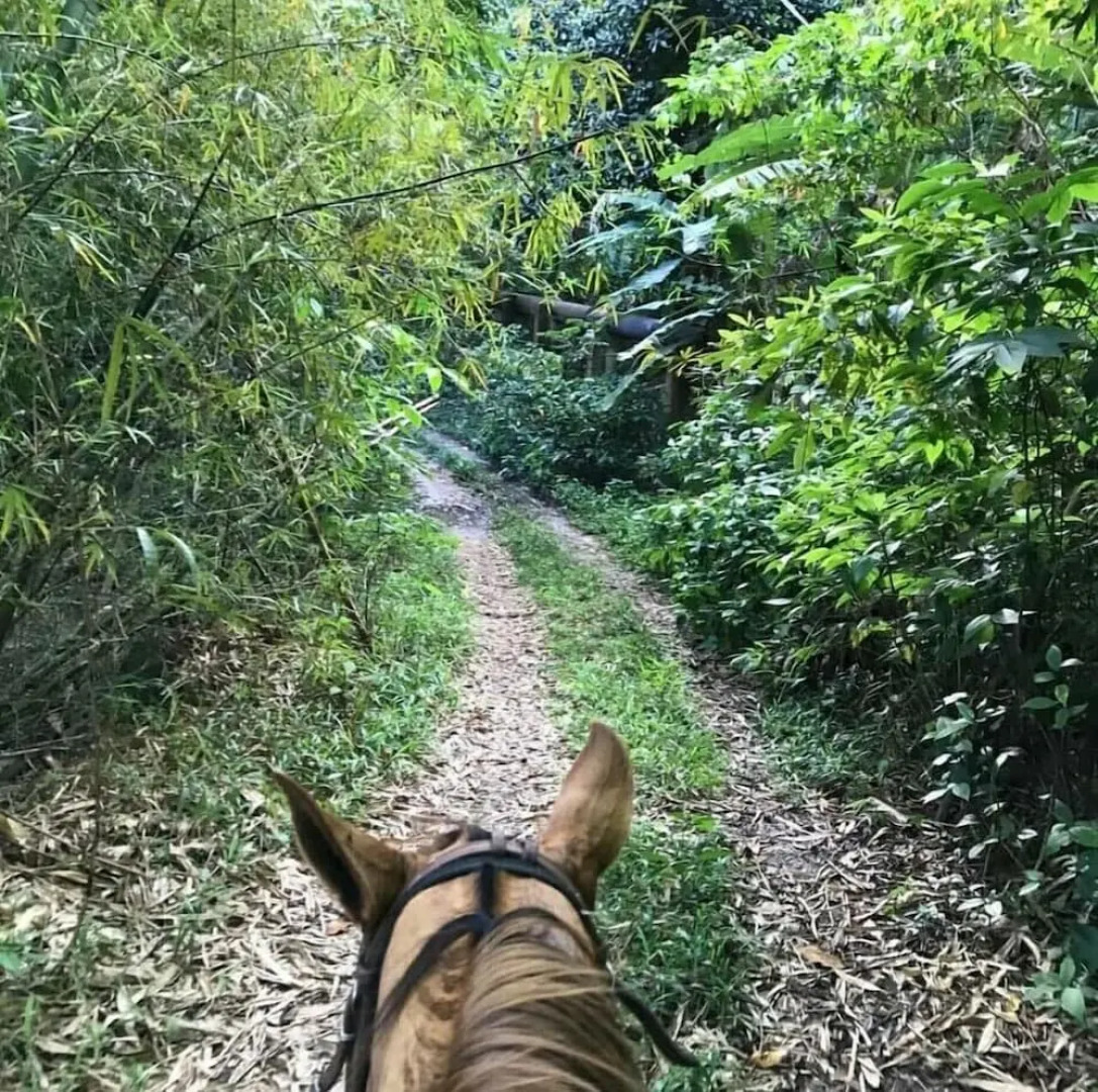 Hotel Fazenda Amaragi