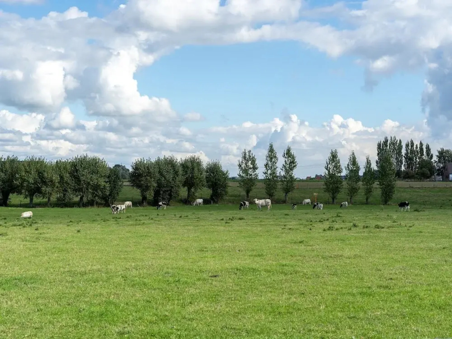 Peaceful Villa With Pond