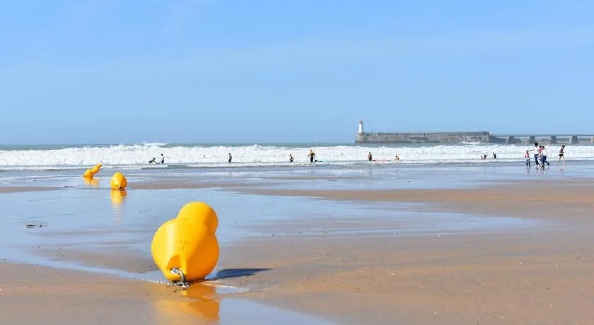 Oasis parcs - Jardins des Sables d'Olonne