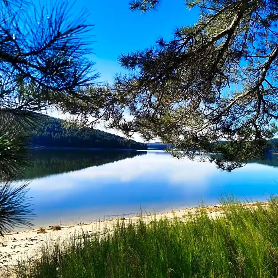 Perla della Sila B&B