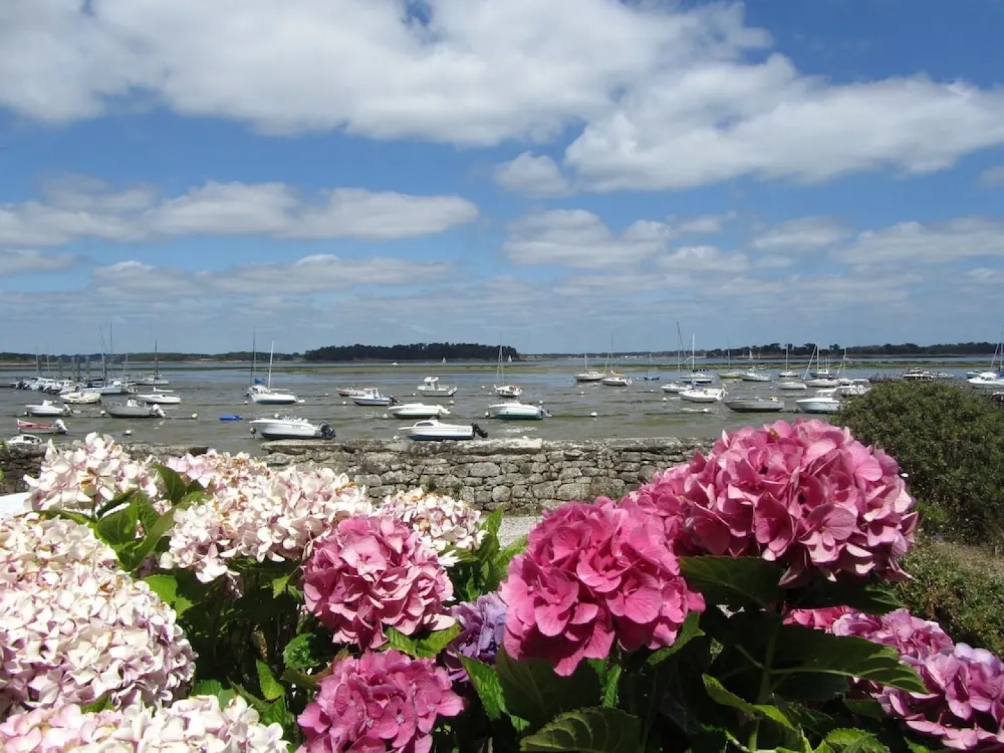 La Maison aux Chimères
