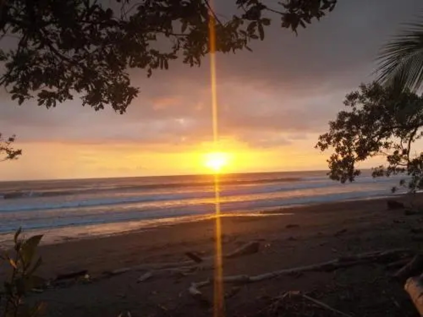 Matapalo Surf School & Beach Cabin