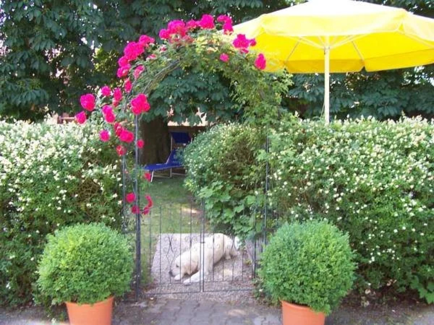 Pension Goldener Stern