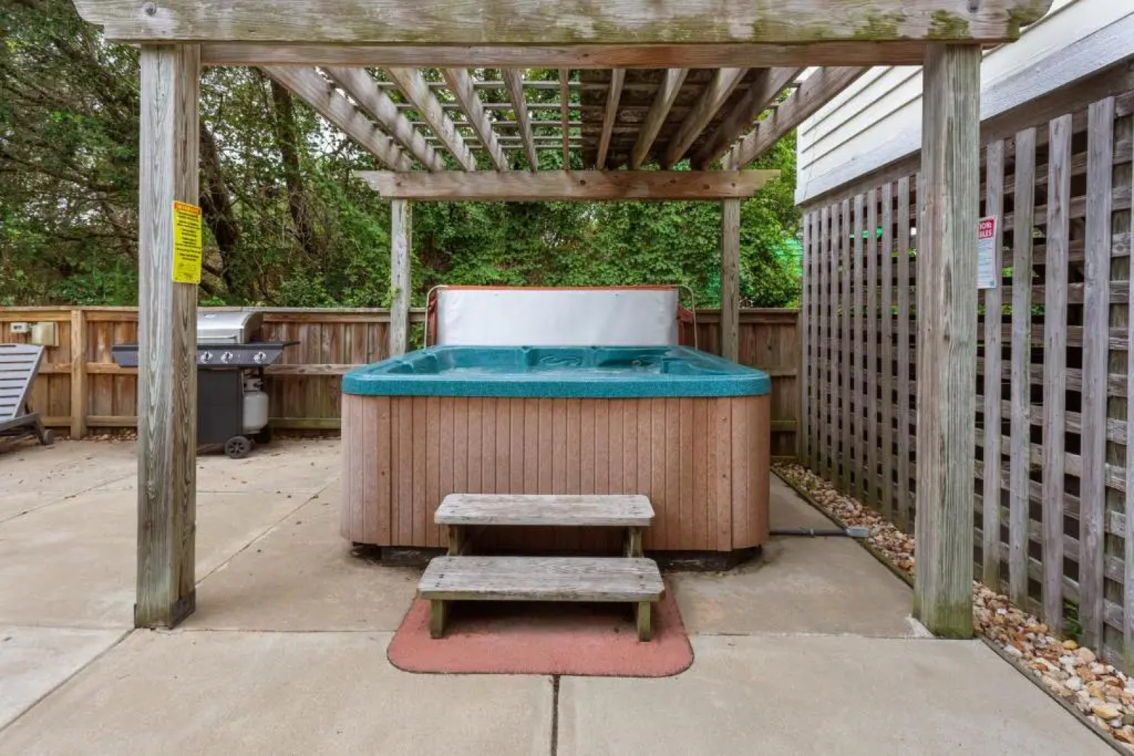 1655 - Dragonfly Cove