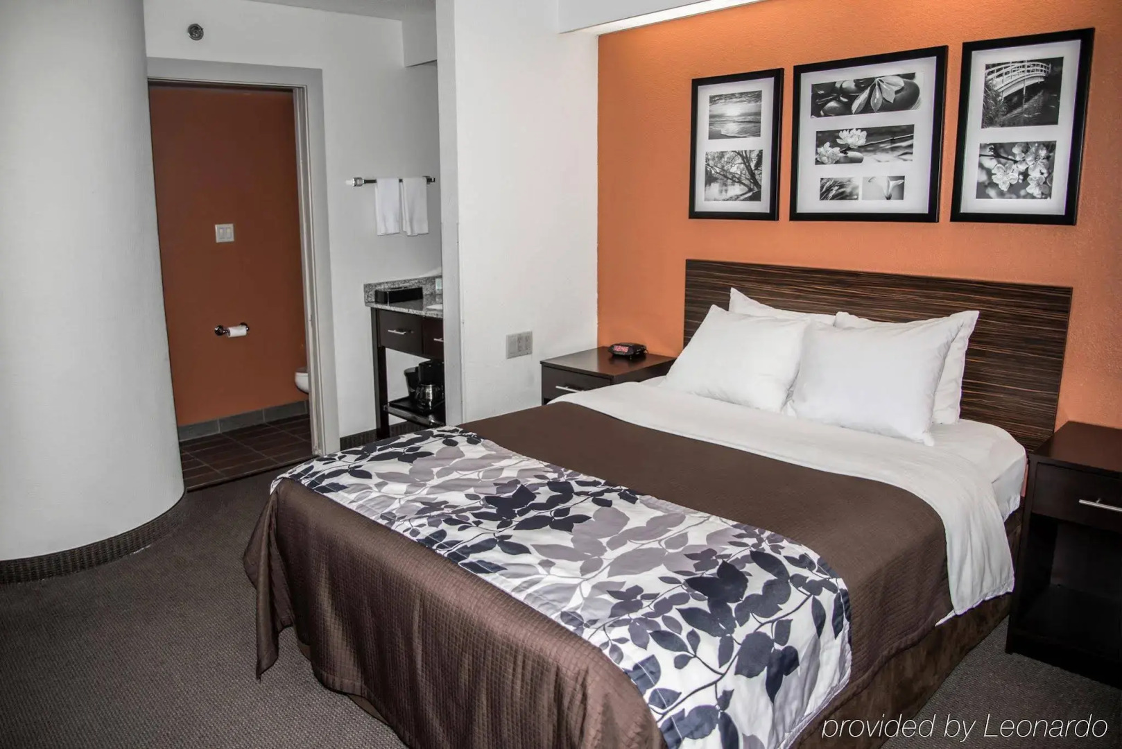 Sleep Inn DeWitt - Lansing North