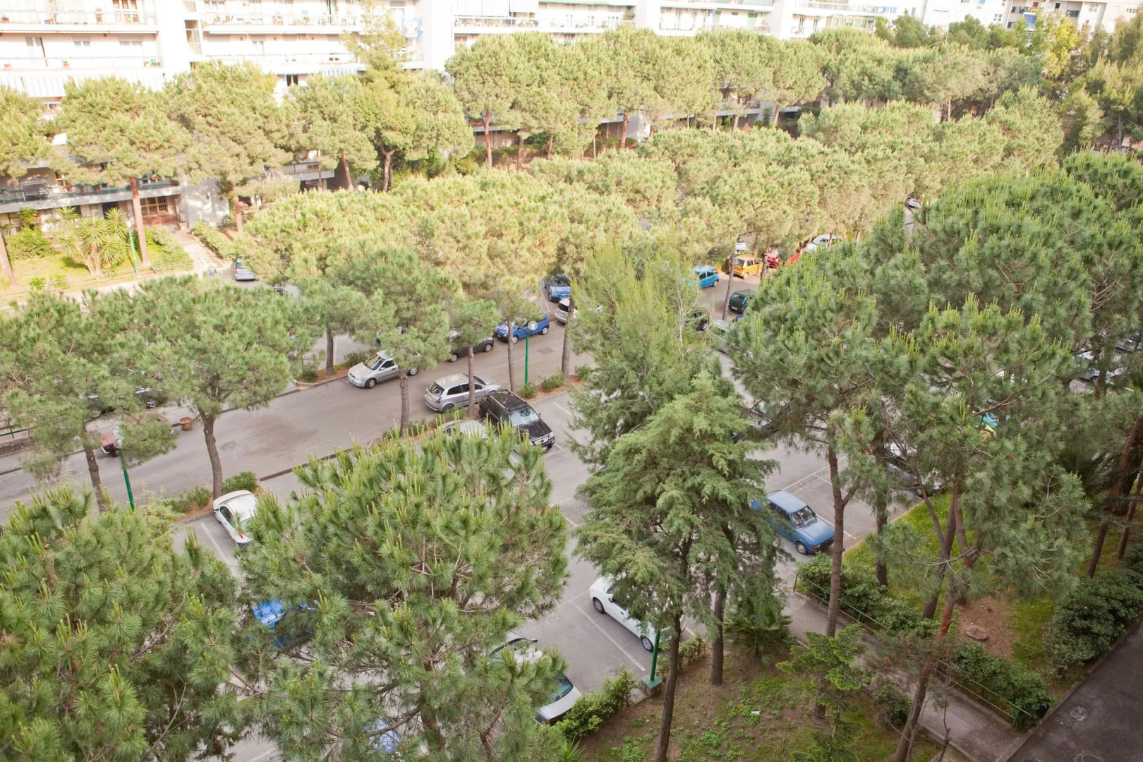 Rooms Rent Vesuvio B&B