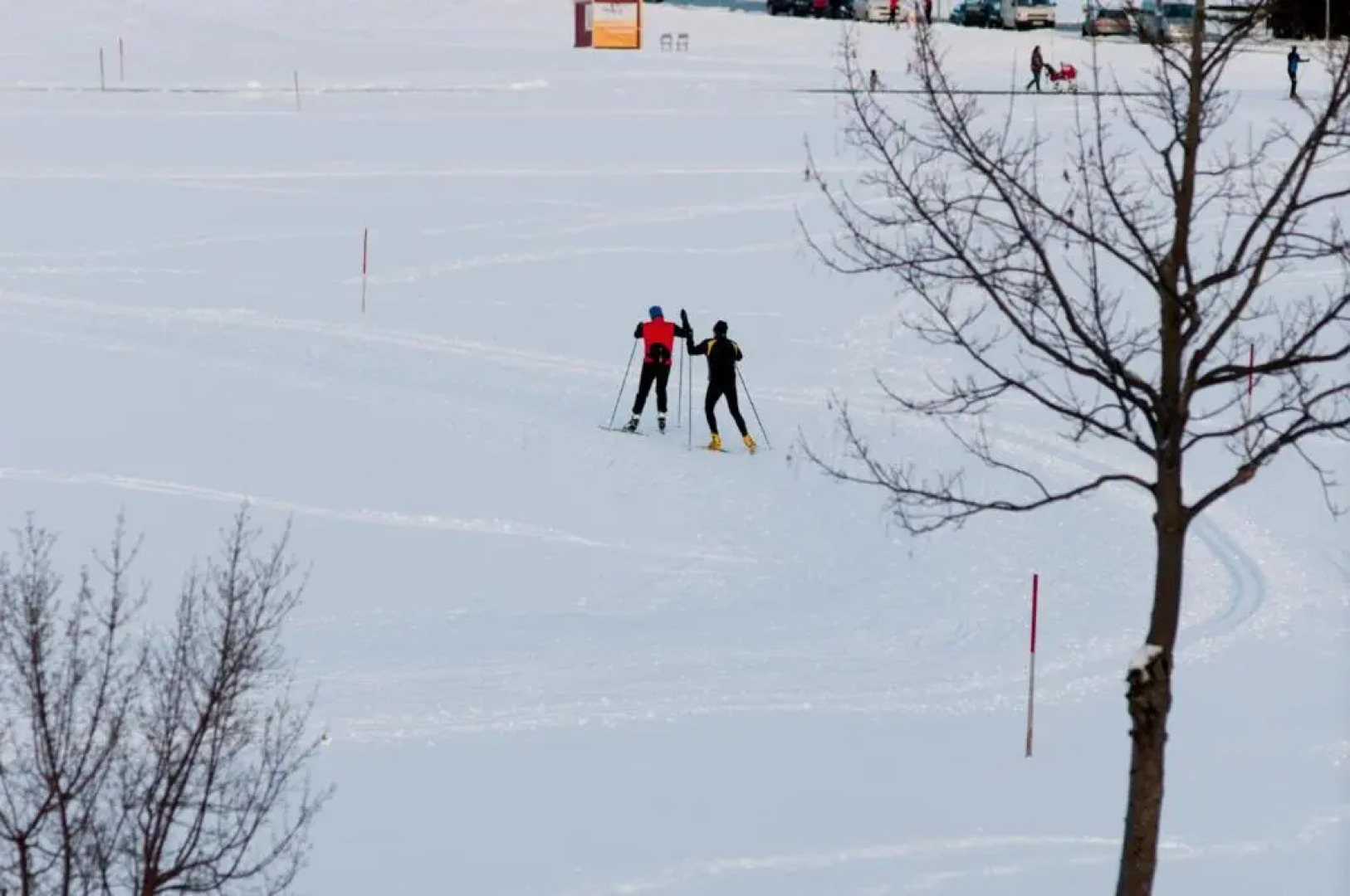 Steinhausers Hotel Hochbühl