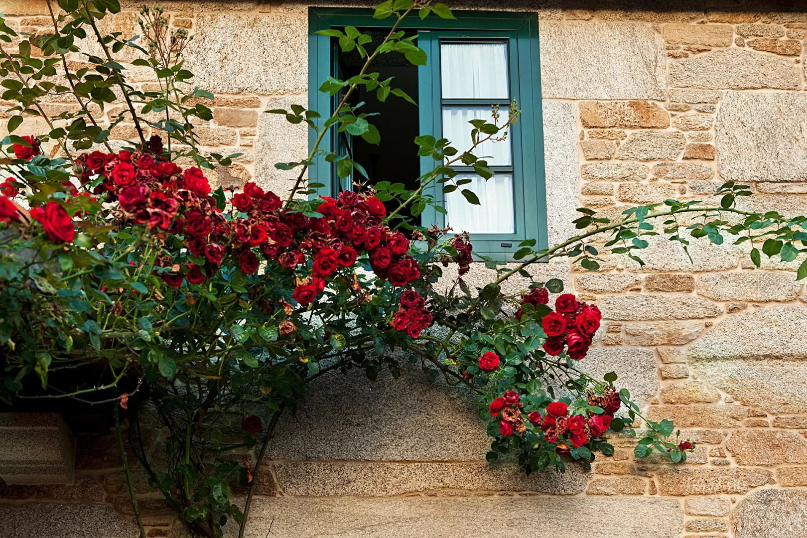 Hotel Rústico A Torre de Laxe