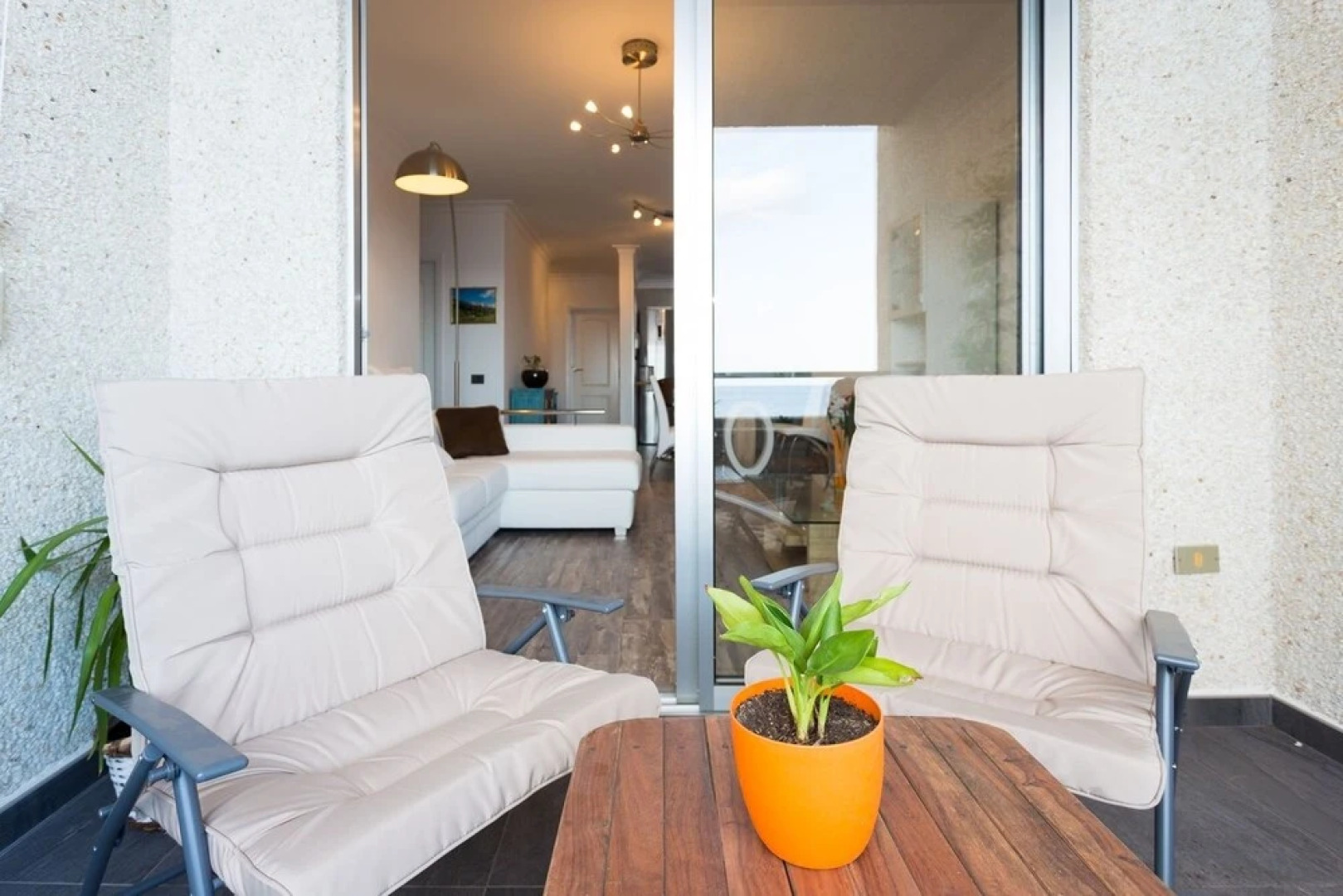 Live Tabaiba Maritime Avenue