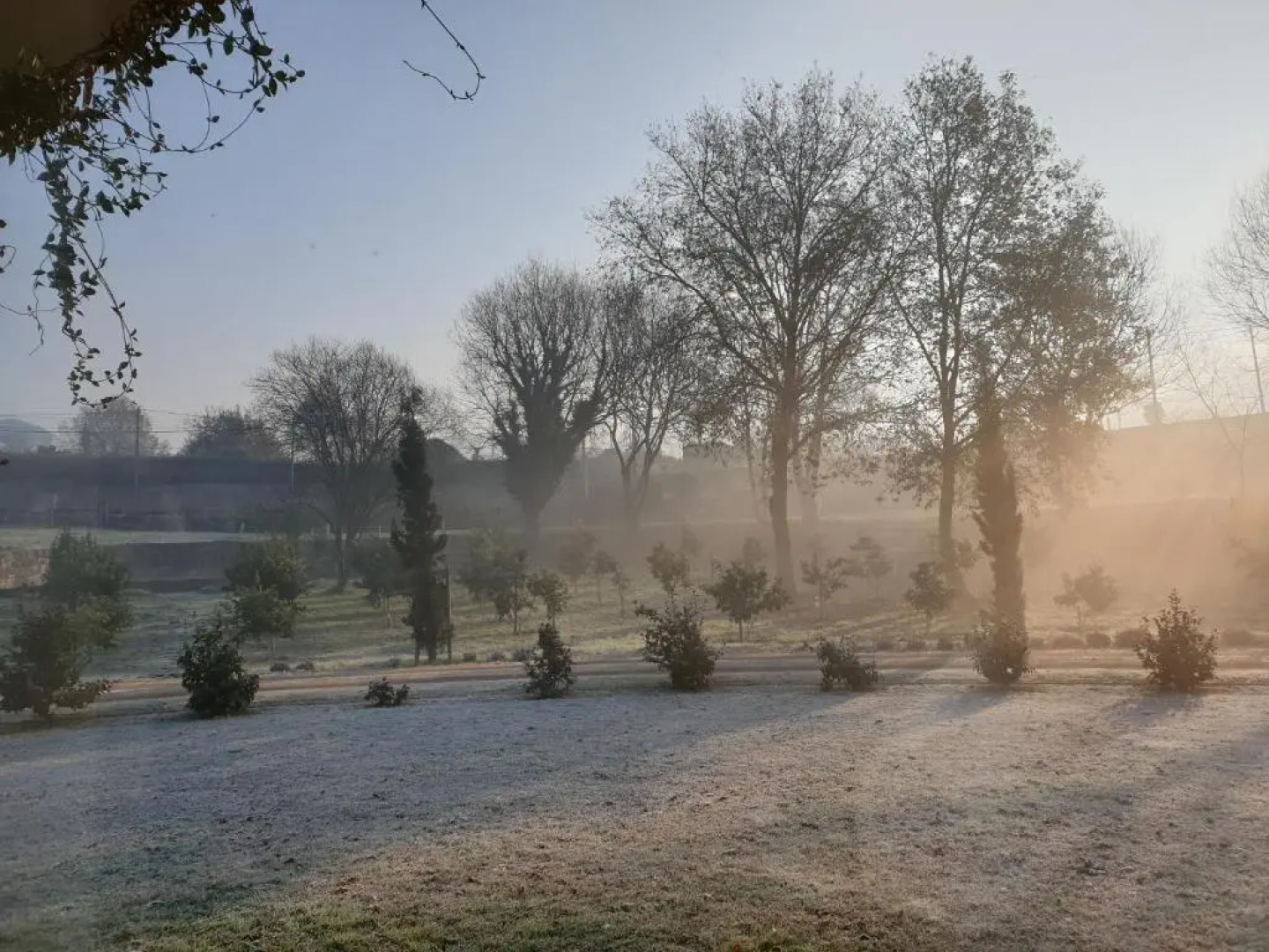 Quinta das Essencias
