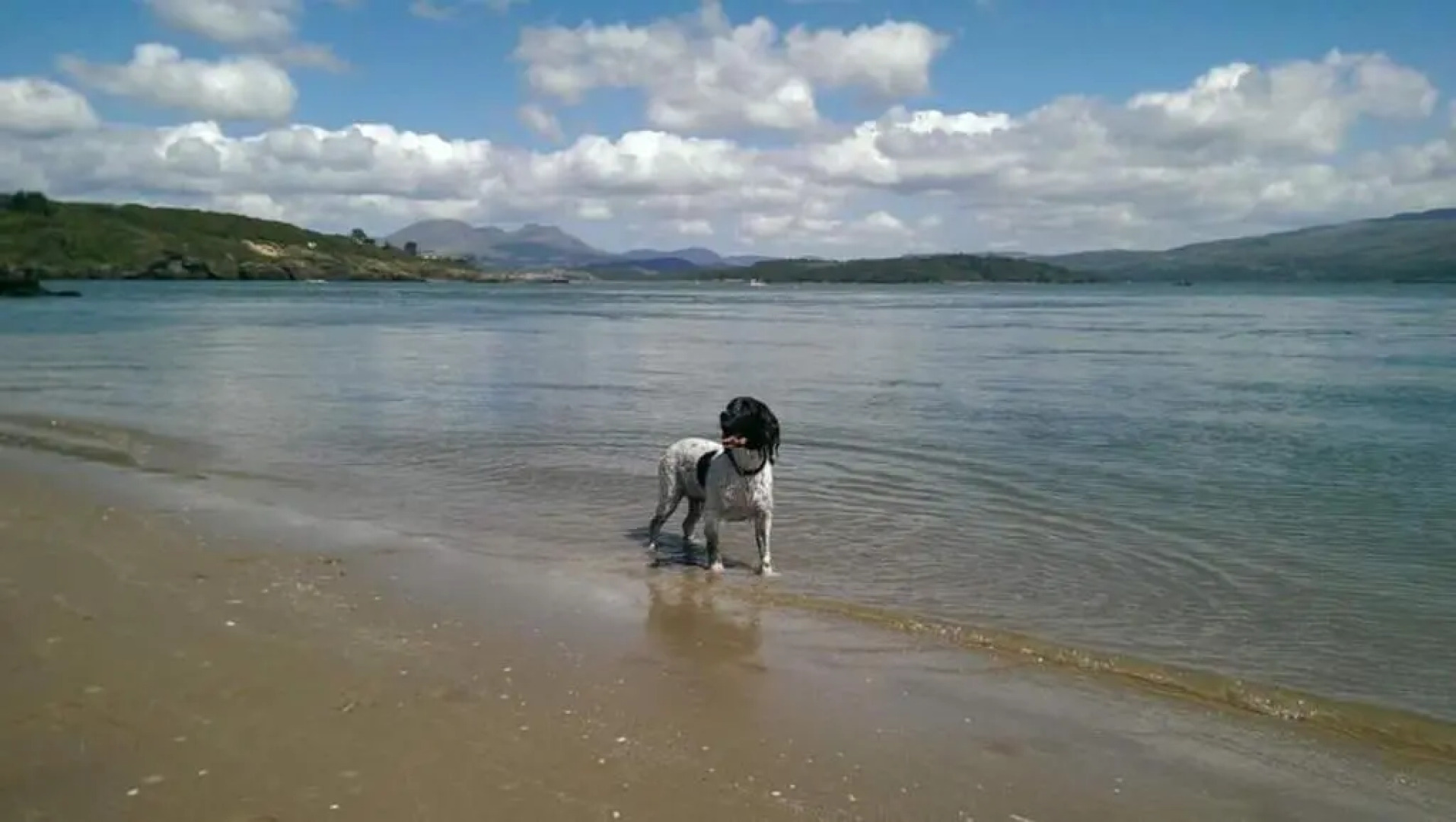 89 Lower Lakeside - Glan Gwna Holiday Park