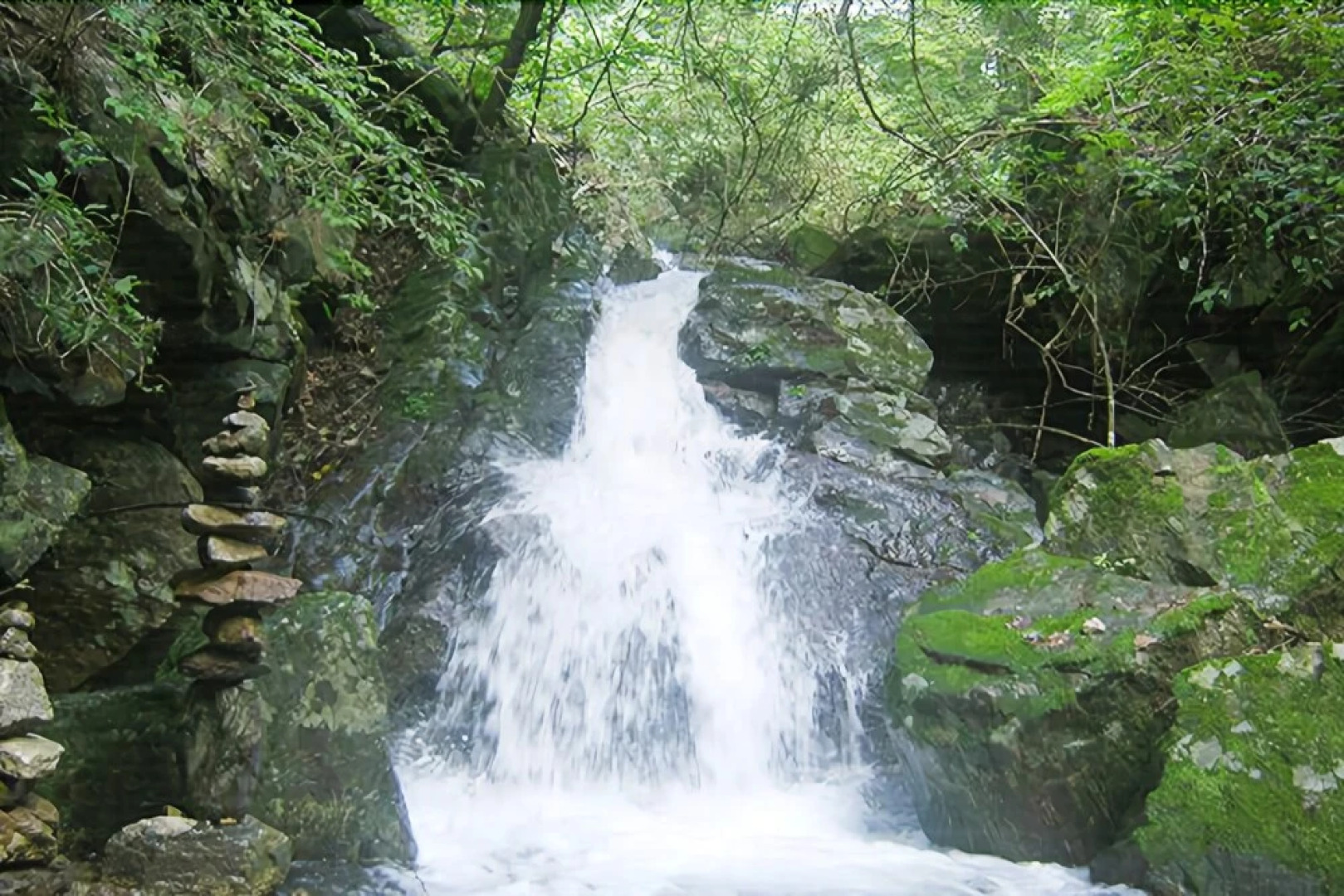 Yangpyeong lime orange