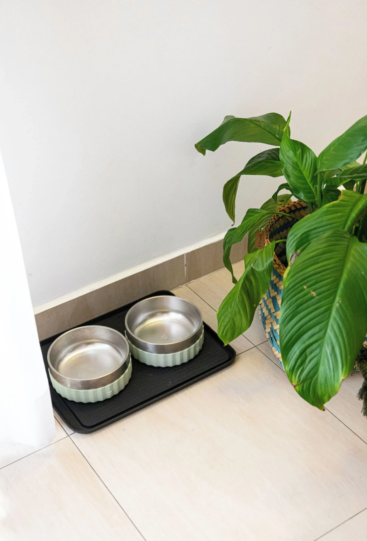 ARK Houses - Flat Beira-Mar com Piscina