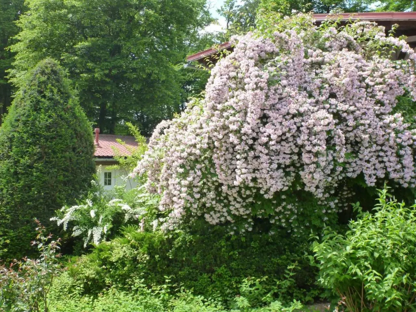Appartements im Park