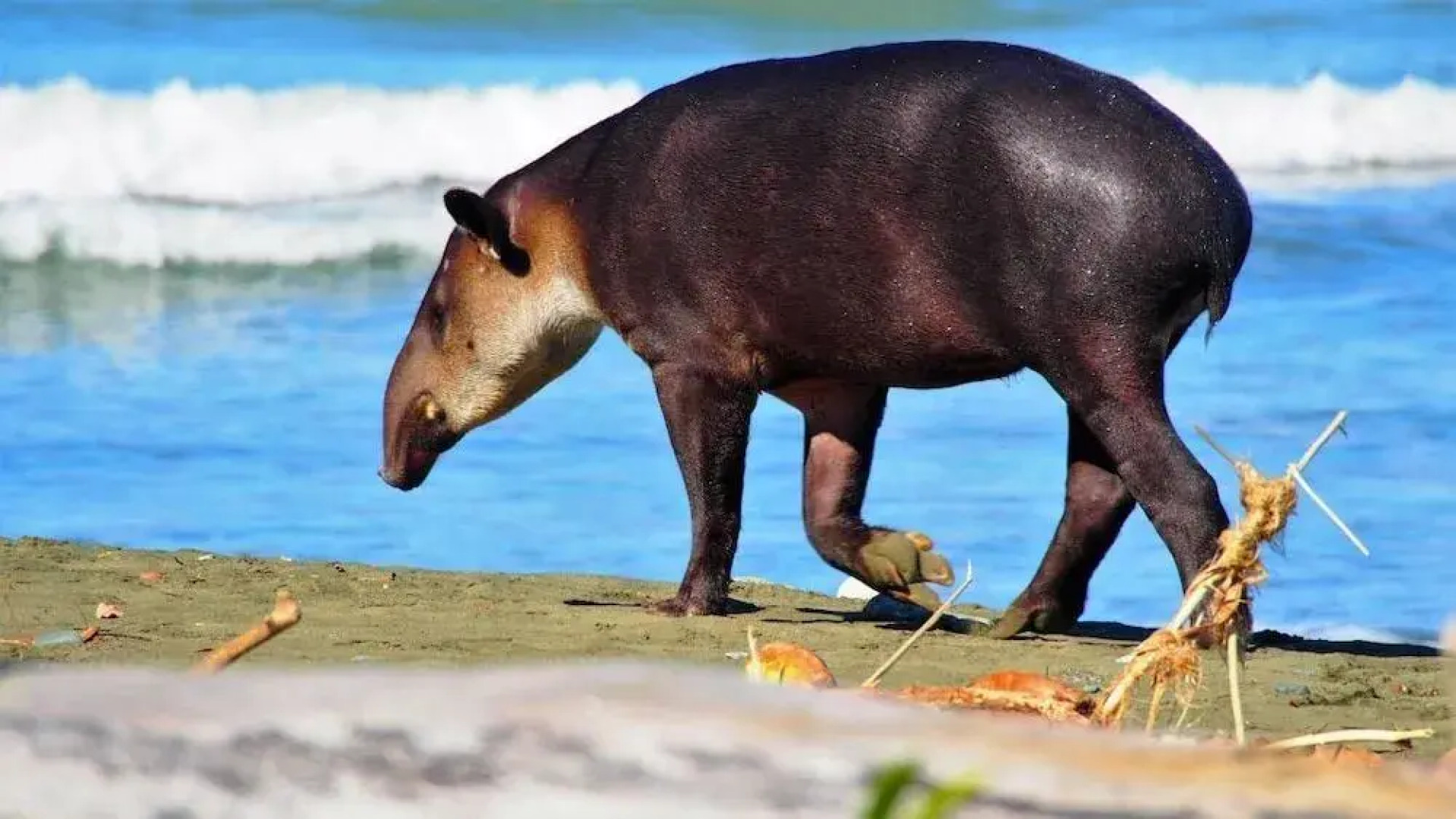 The Sunset Tucano Lodge