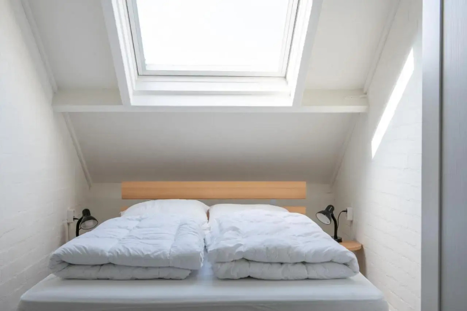 Park Schoneveld Duinroos 099