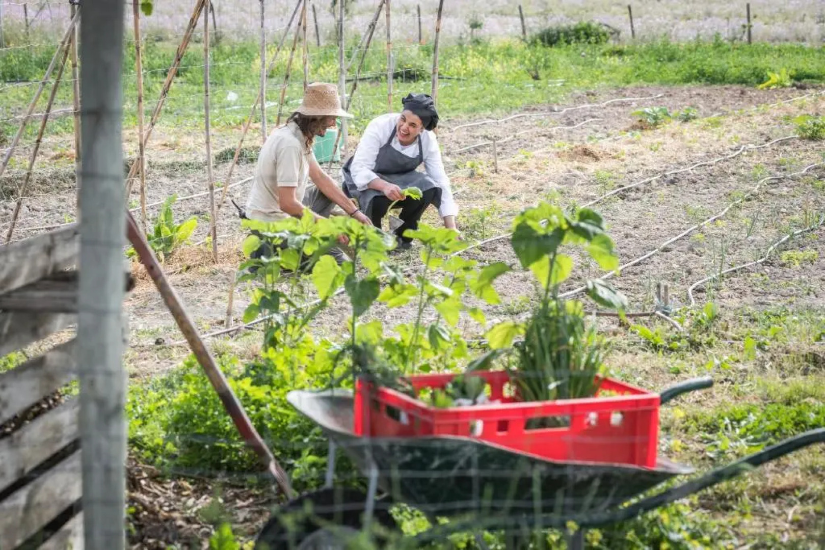 Hotel Monnàber Vell