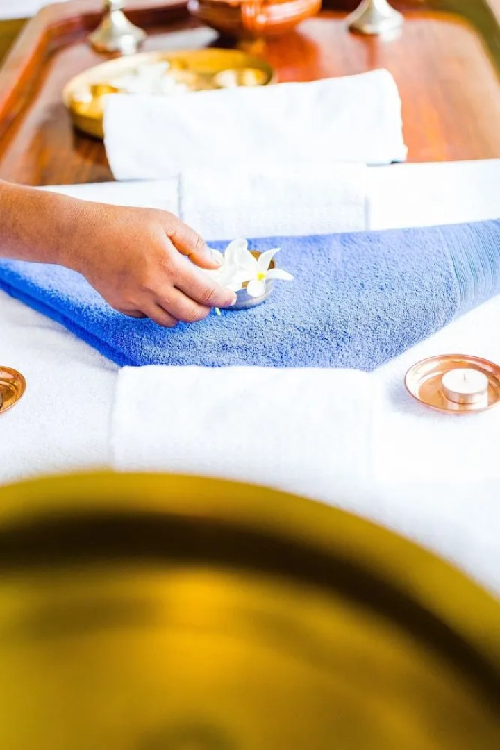 Mekosha Ayurveda Spa Retreat