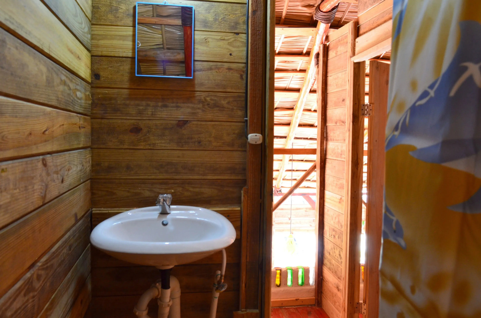 Hostel La Ballena Backpacker