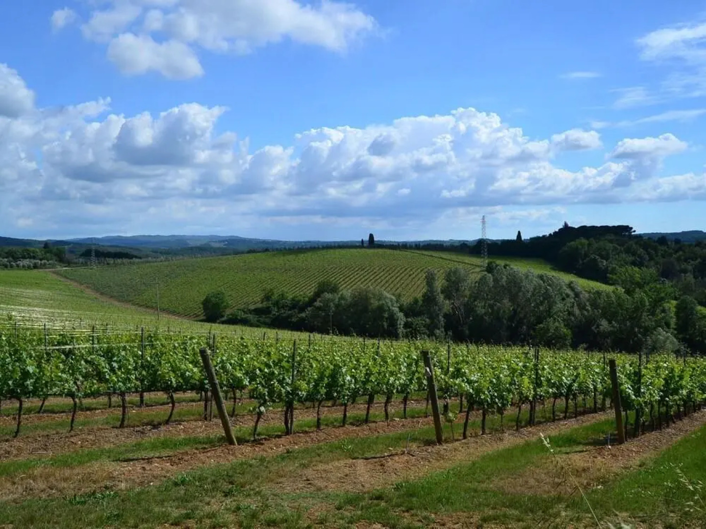 Peaceful Holiday Home with Pool in Montefiridolfi Italy