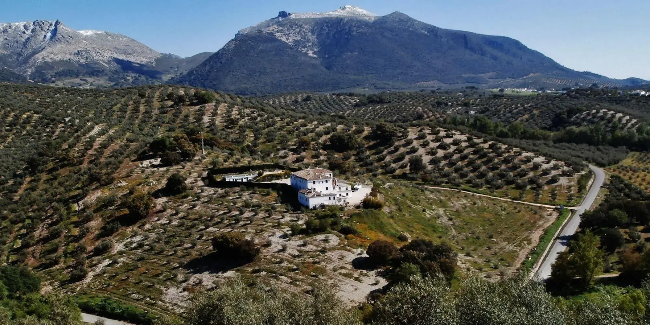 Cortijo La Presa
