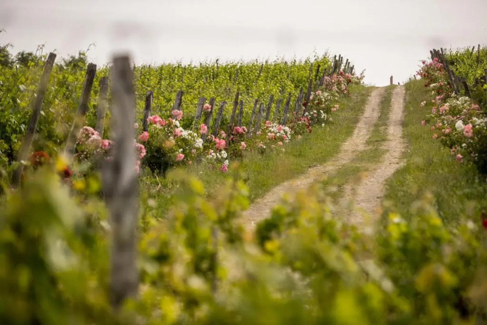 Residenza Roccafiore