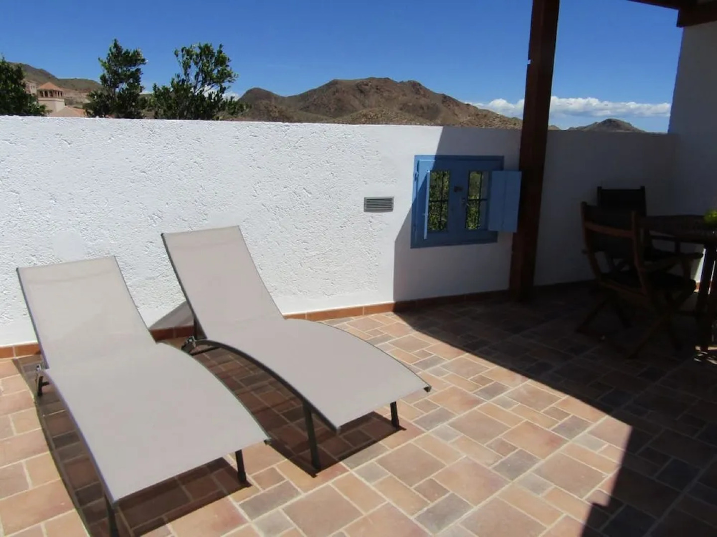 Caballo de Mar Appaloosa