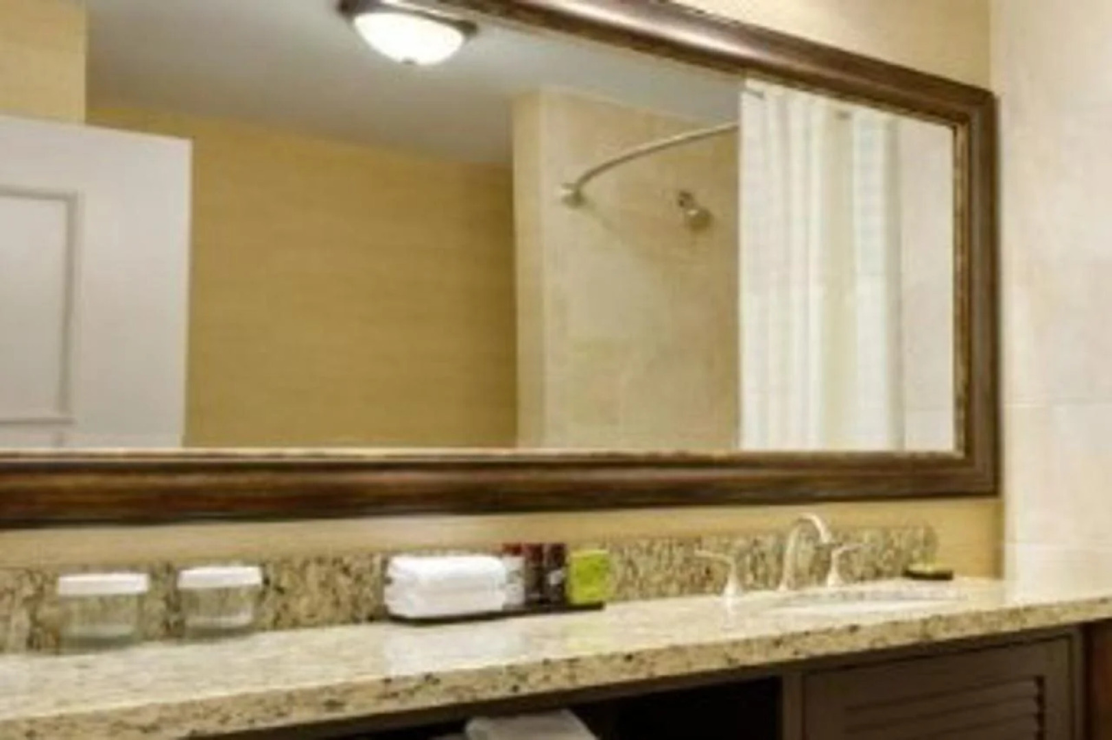 Embassy Suites by Hilton Savannah