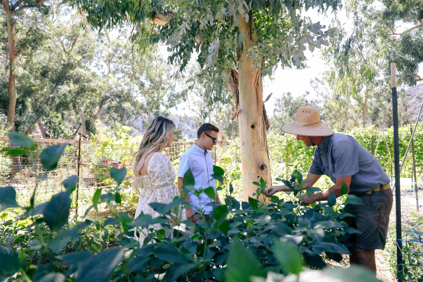 The Ranch at Laguna Beach