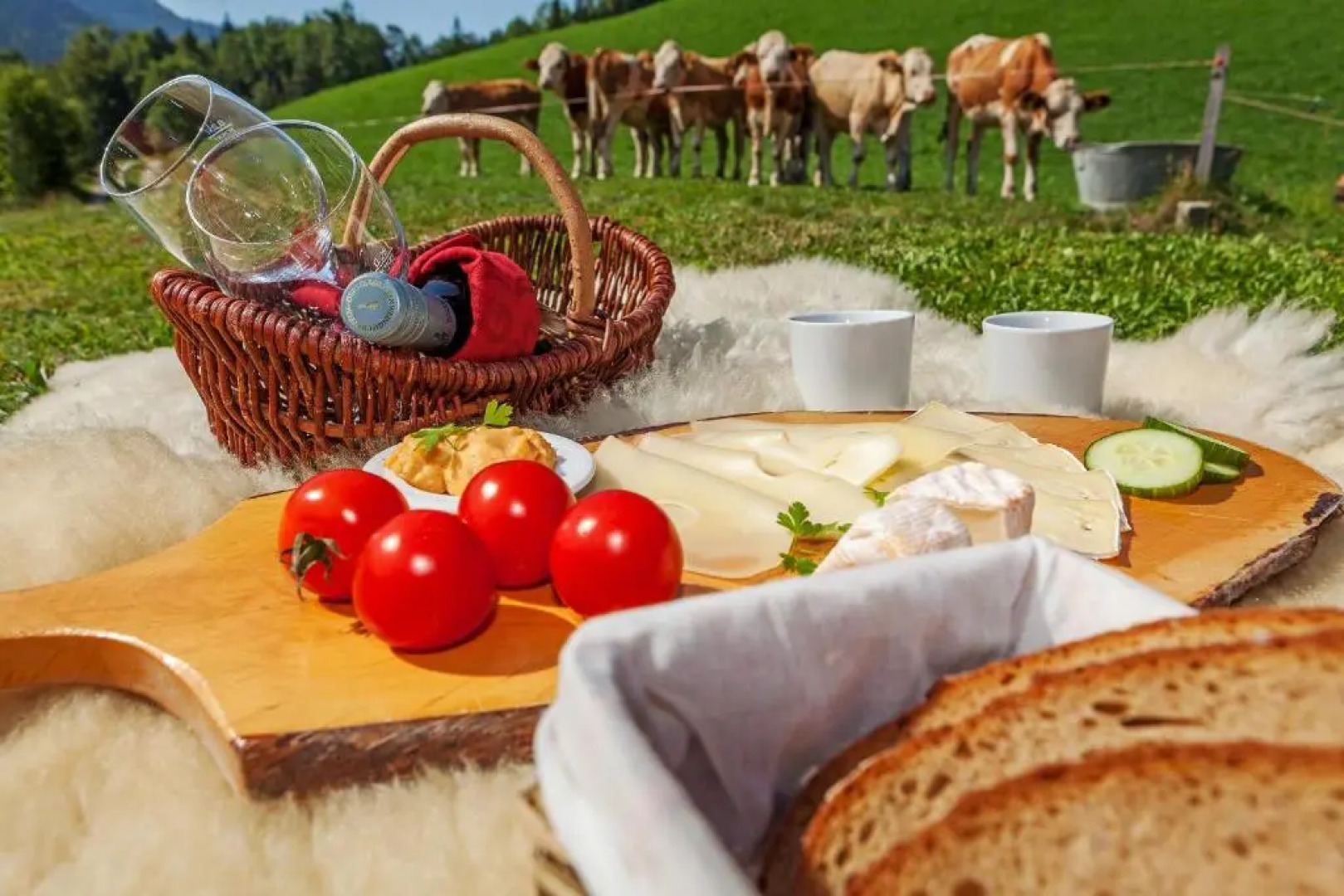 Gästehaus Steinberger Hof