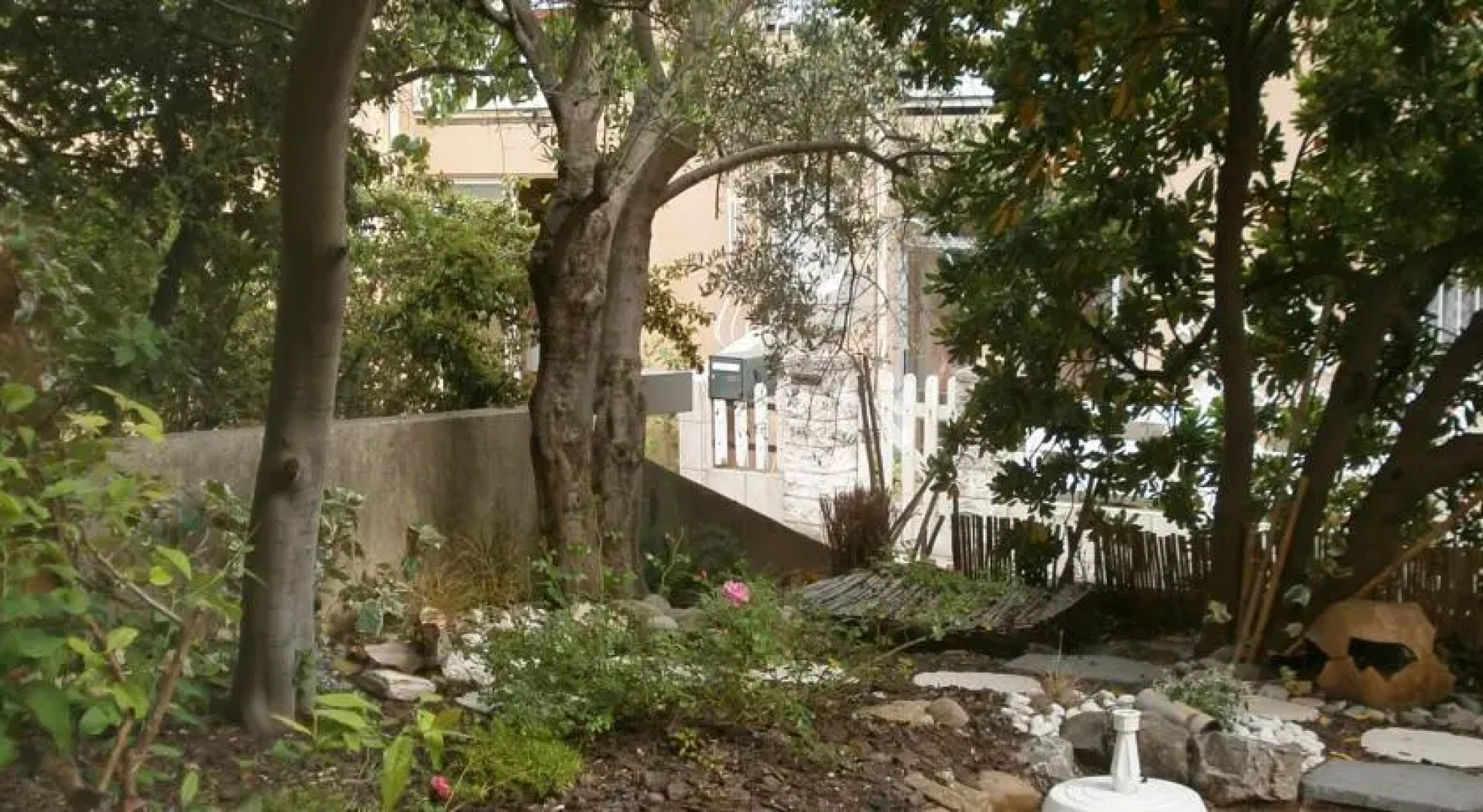 Provence Cigale de Mer et Soleil