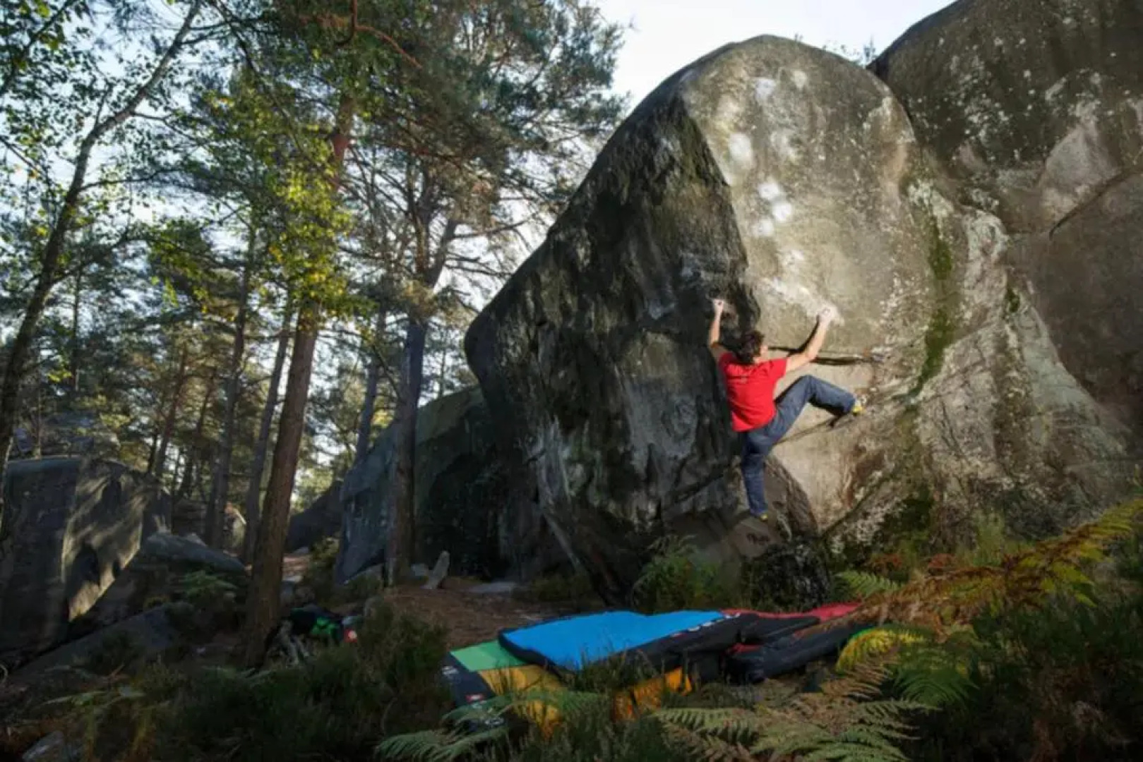 Palm House Sauna City Center Ideal Insead