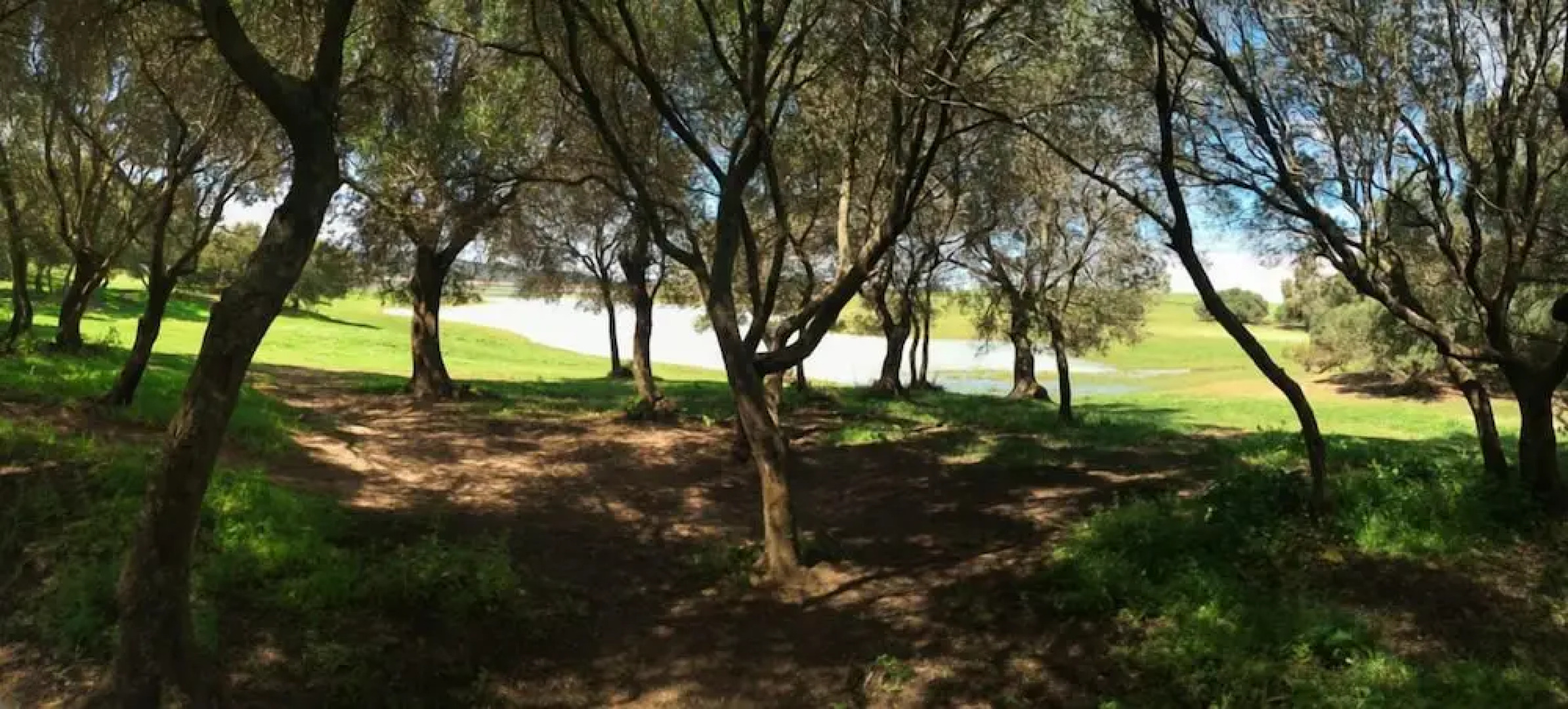 Wakana Lake Glamping