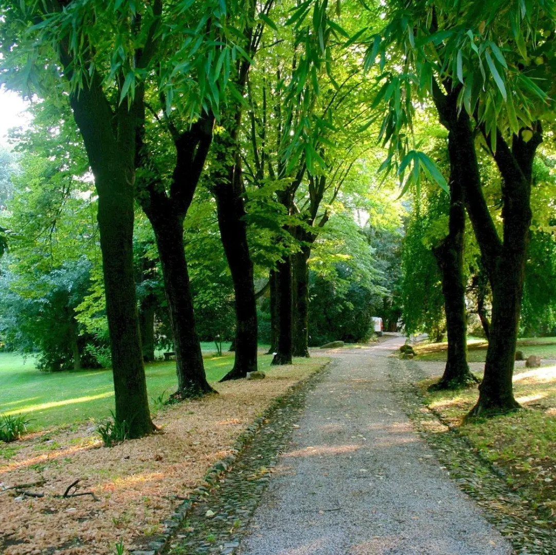 Agriturismo Barchessa