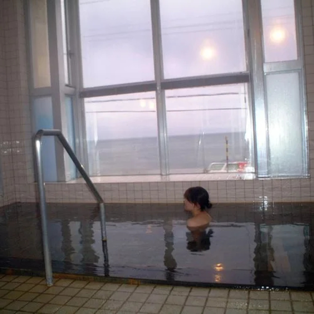 Shirara Onsen Ryokan Hokuto