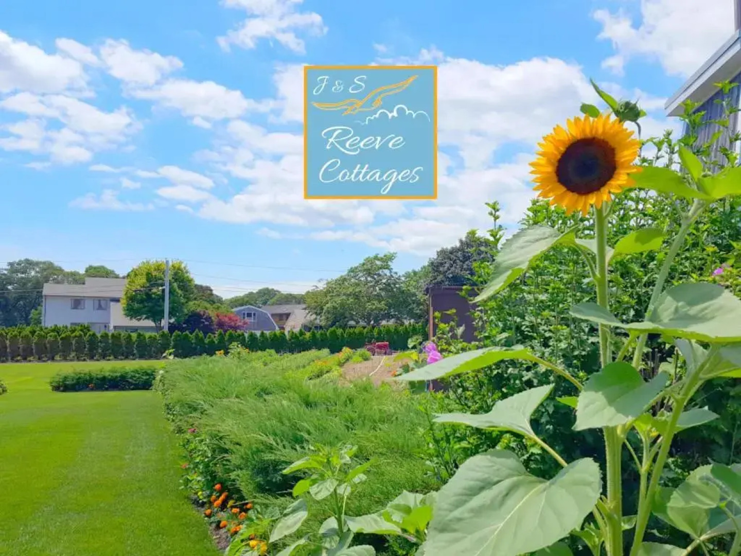 Premier Waterfront Cottage 2