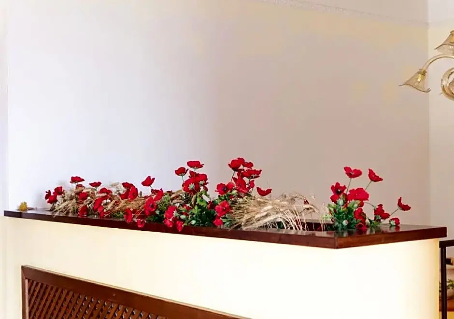 Affittacamere Terry's House