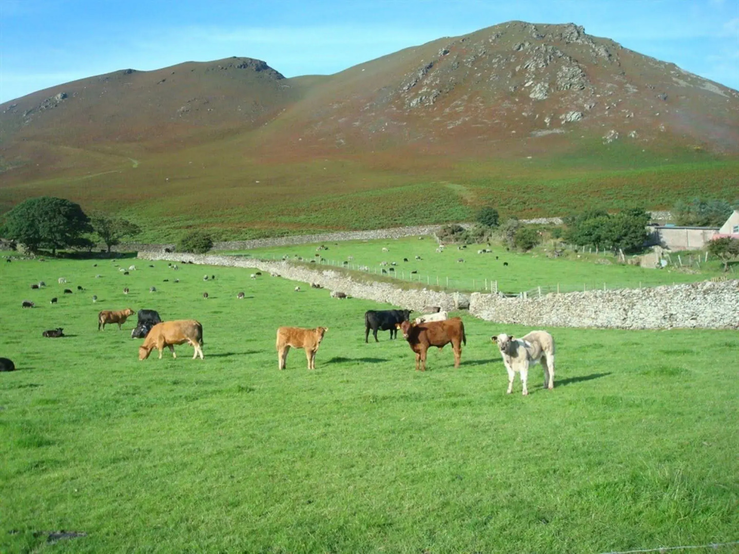 The Wayside and Whisky Barn