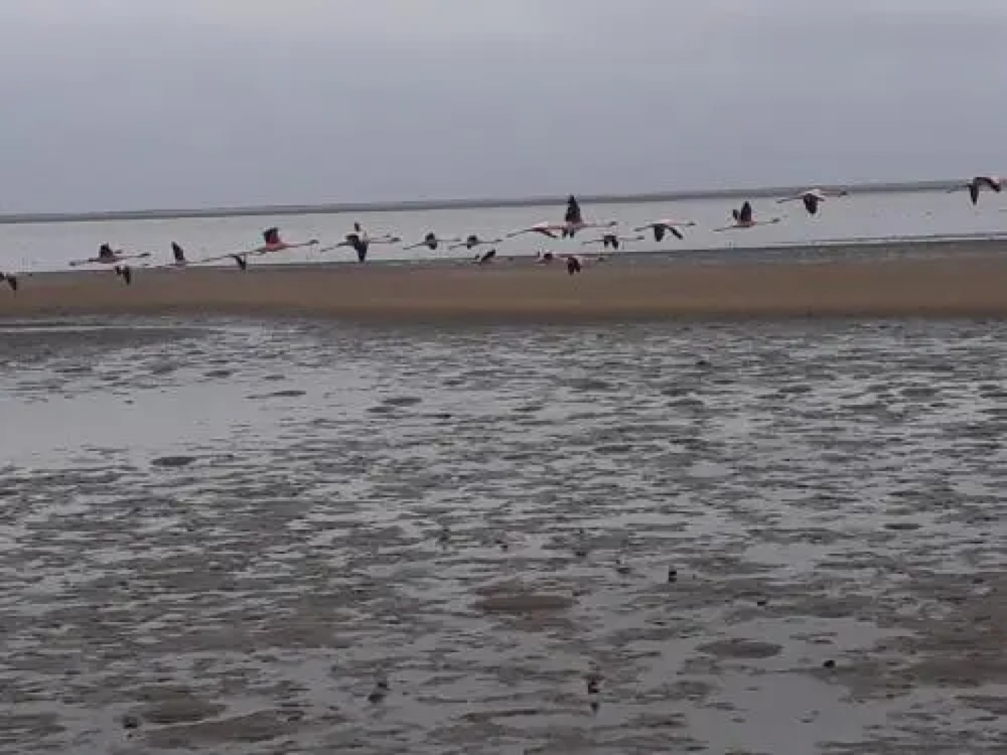 Elilo Bed And breakfast