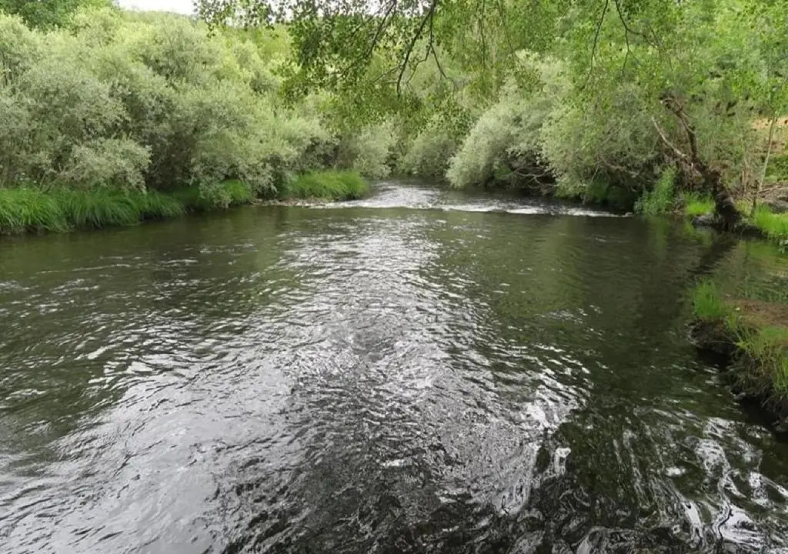 Parque Biologico de Vinhais