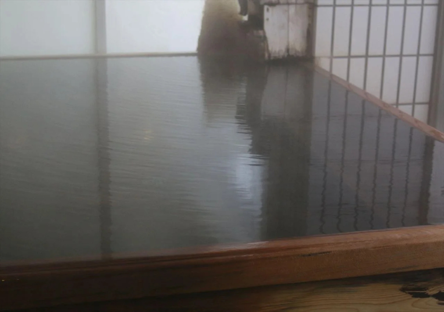 Jozankei Hotel Sankeien