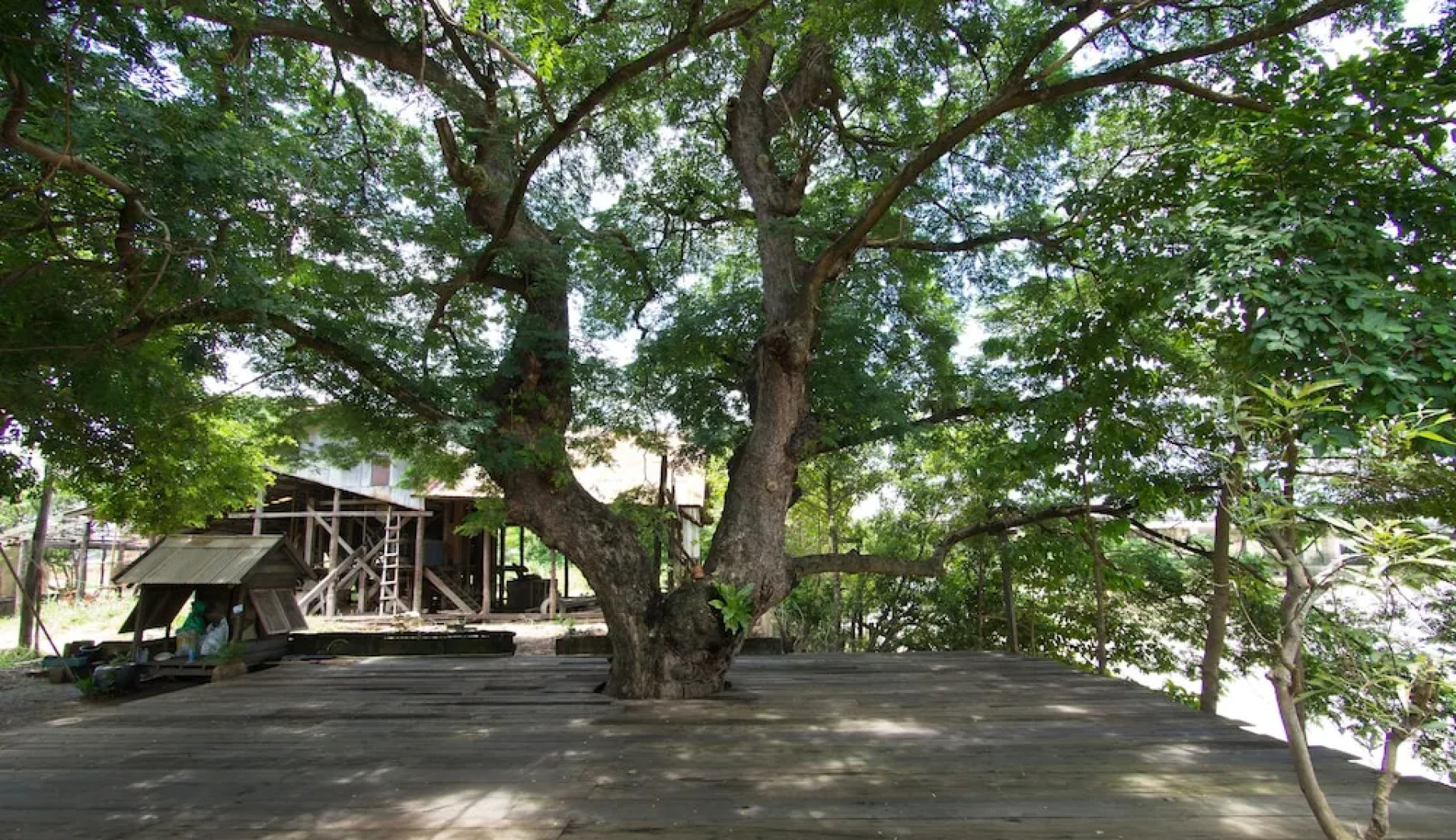 Baan Sikuuk Bed & Breakfast