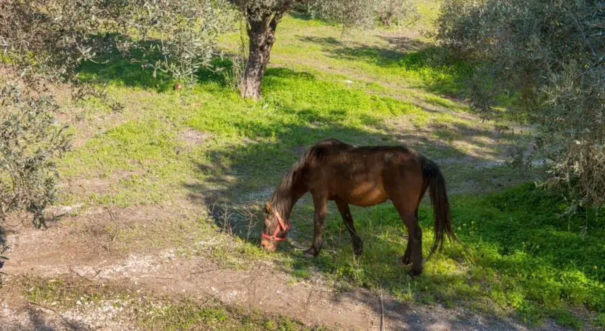 Secret Garden Filerimos