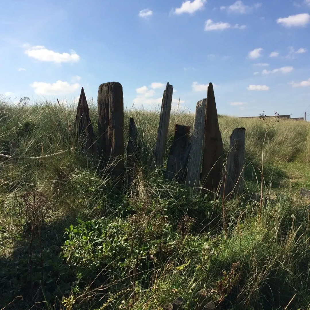 The Beach Huts - Camber Sands