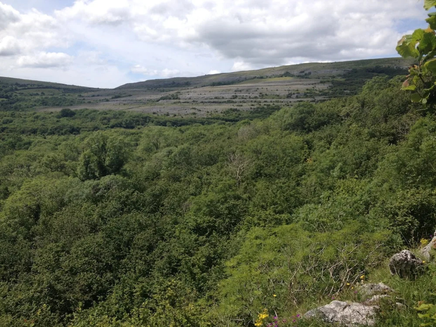 Burren Bushcraft - Camping & Adventures