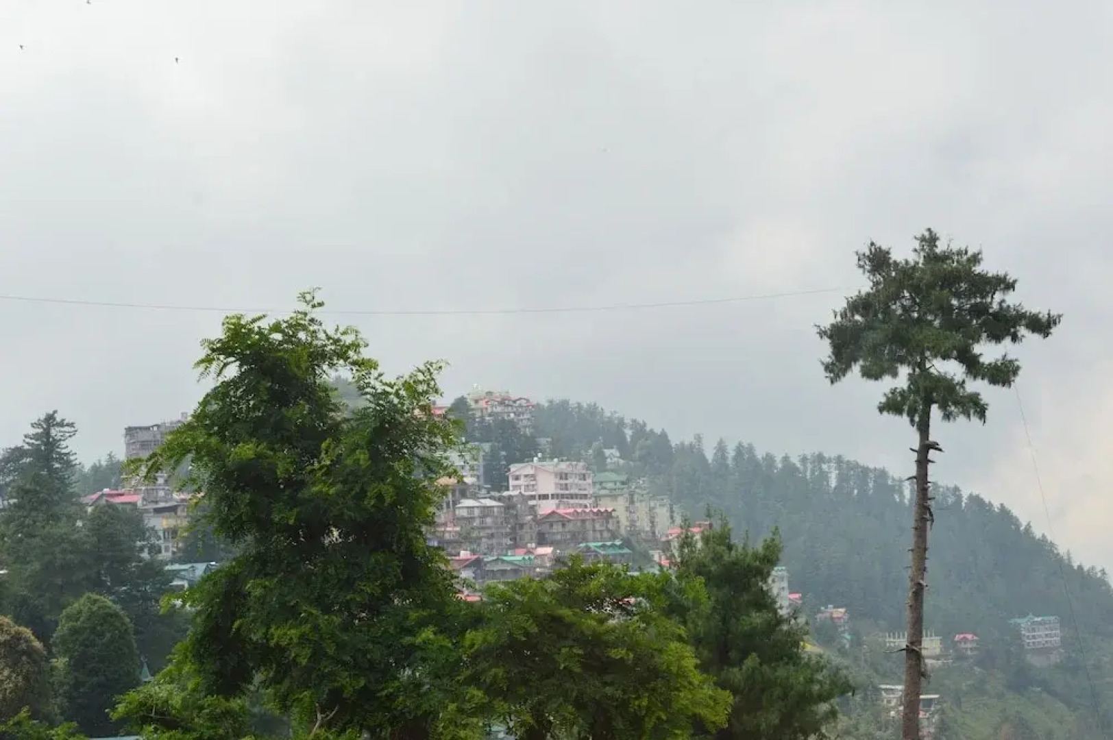 Nature Heaven Homestay